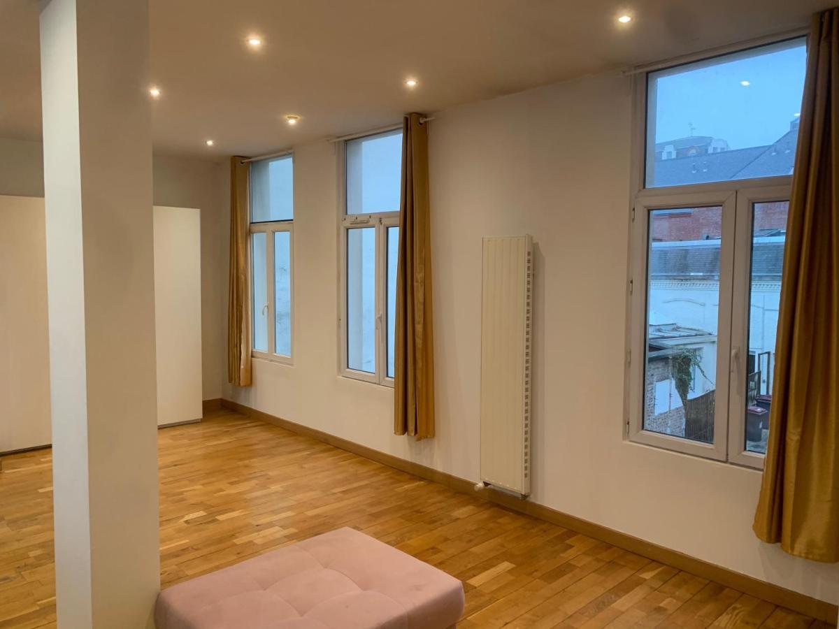 Spacieux 100 M2 Pour 7 Personnes En Plein Centre-Ville Lille Extérieur photo